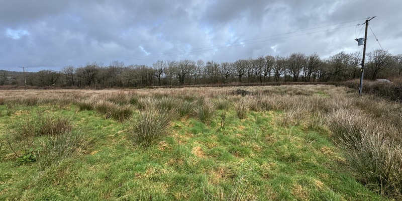 Land At Grid Reference 240281 106473, Road From High Park To Lashbrook, Cookbury, EX22 7YJ